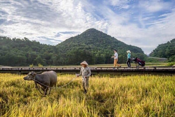 How to "Shop" a Perfect Golf Trip in Vietnam - Easy Steps with Golfnity 1